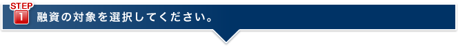 融資の対象を選択してください。