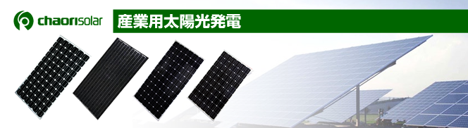 世界的な導入実績