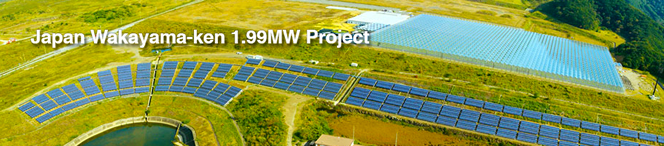 世界的な導入実績