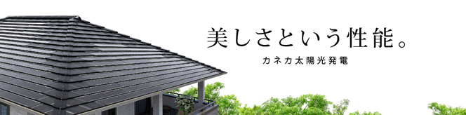 カネカ住宅用太陽光発電
