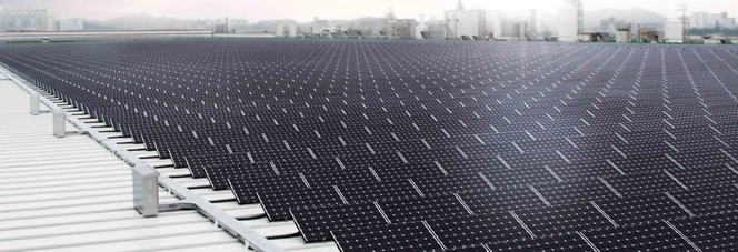 世界的な導入実績