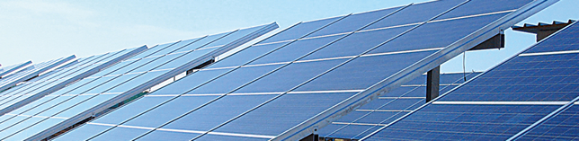 世界的な導入実績