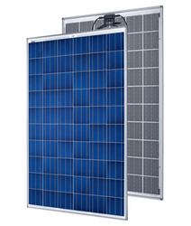 Sunmodule Protect SW245poly